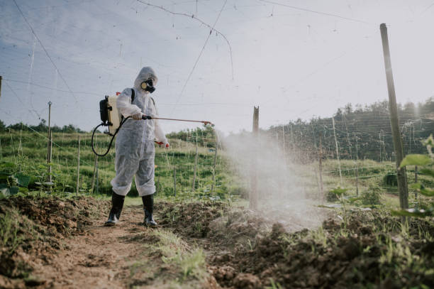 Pest Prevention Services in Mantua, UT