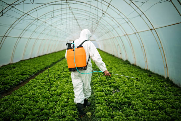 Best Pest Control Near Me  in Mantua, UT