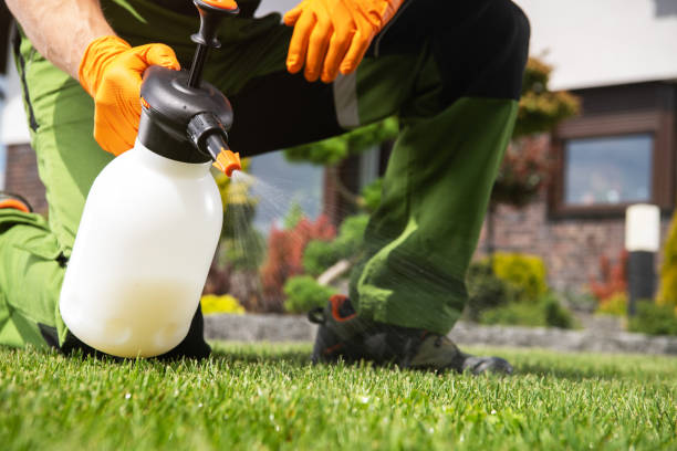Best Best Pest Control Companies  in Mantua, UT