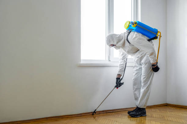 Best Exterminator Services  in Mantua, UT