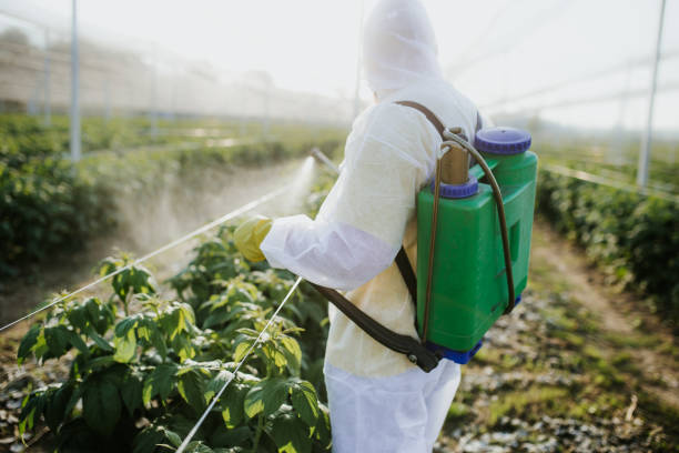 Best Pest Prevention Services  in Mantua, UT